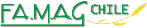 brand2